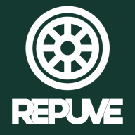 Check Repuve