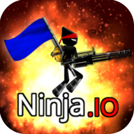 Ninja io